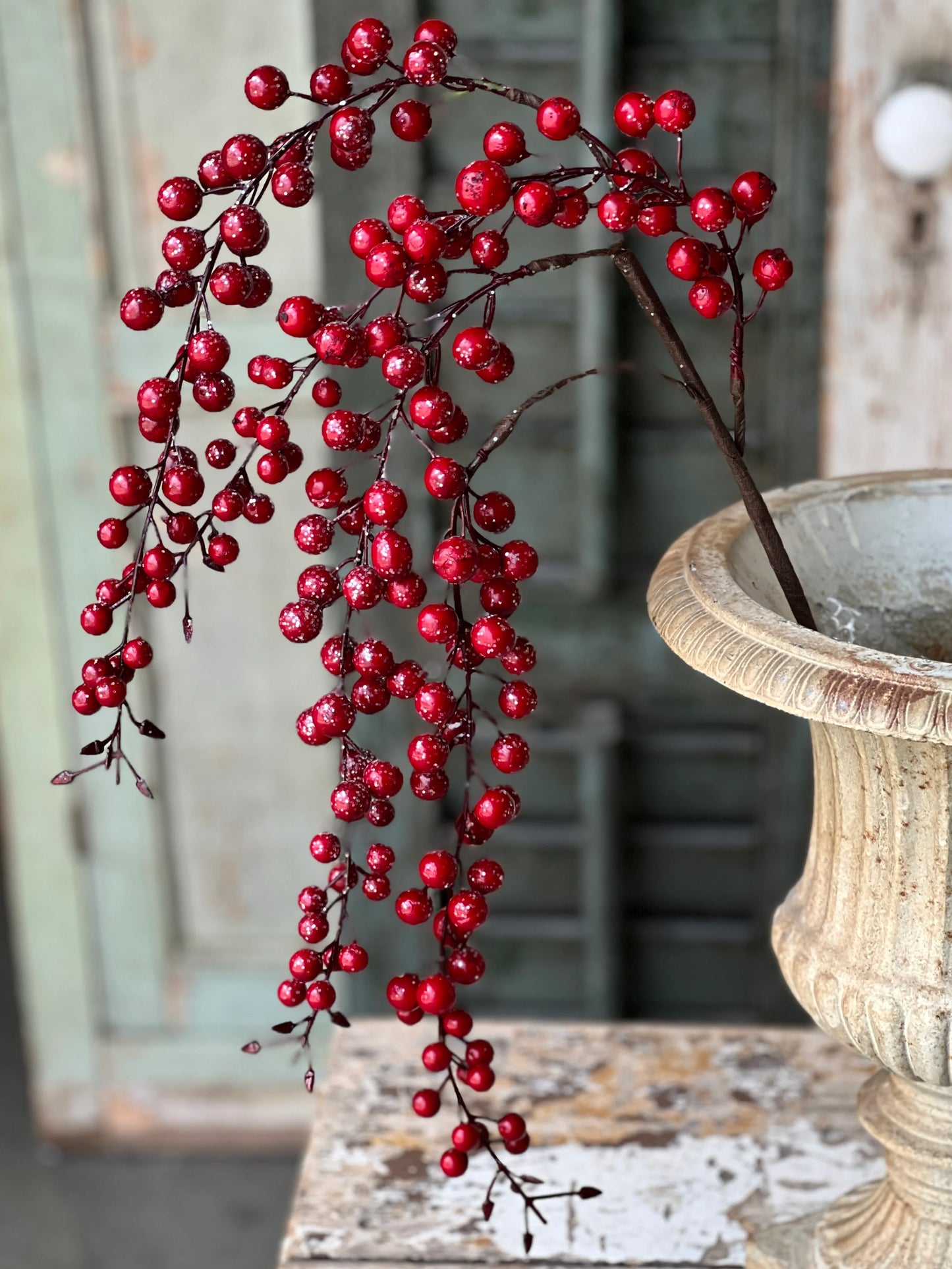 35" Iced Weatherberry Pic